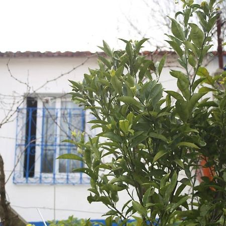 Sintra Nomad Lodge Kültér fotó
