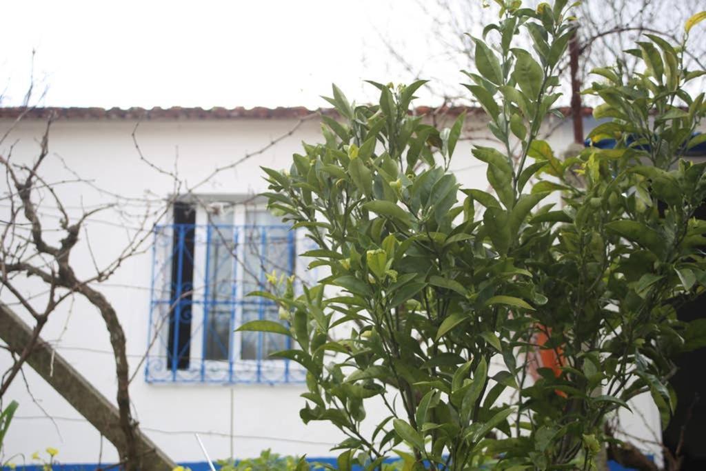 Sintra Nomad Lodge Kültér fotó