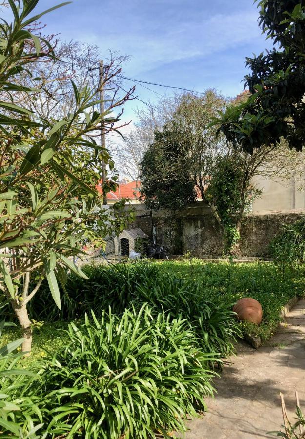 Sintra Nomad Lodge Kültér fotó